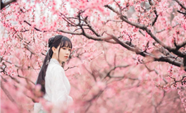 属猪的人怎么处理前任留下来的东西