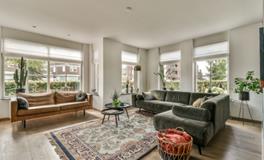 客厅摆放花卉，能否改善风水