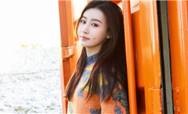 狮子座与电脑的亲密度揭秘