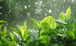 今天谷雨，春夏之交更要注意运势的变化