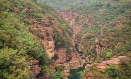 如何智慧处理坟地树木与调整墓地风水