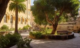 庭院风水佳树，福纳祥和的艺术