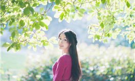 探究狮子男的撩妹装逼指数