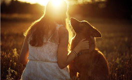 易鑫一周黄道吉凶日（2024.5.20-5.26）