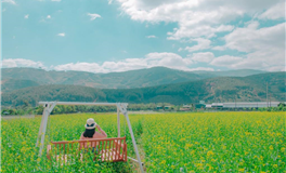 天蝎座开始发达的迹象