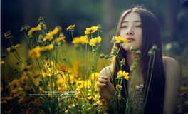 探究金牛男的撩妹装逼指数