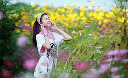 谁为理想狂热？盘点爱追求理想的星座