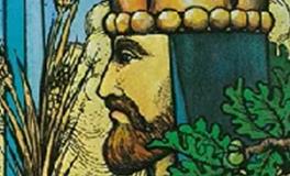 爱莎公主射手座2024年6月塔罗运势