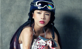 理性之光，探索那些天生具备强大逻辑思维的生肖