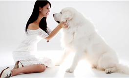 属鸡之人何时最盼望那枚意义非凡的求婚戒指