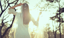 属兔明星遭遇键盘侠围攻，他们如何高情商回应