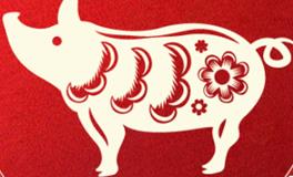 董易林生肖猪2024年7月运势