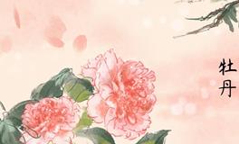 食之韵味，画之雅韵，厨房挂画的风水艺术之道