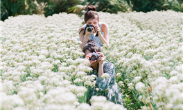 Pandora占星小巫狮子座2024年8月运势