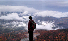 百变巫女金牛座一周运势（8.18-8.24）