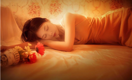 猫咪占星：金牛座2024年下半年运势解析