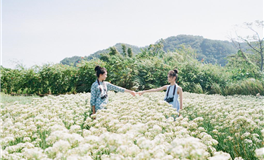 立秋过后，生肖运势调整必读指南