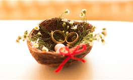 Alex大叔双子座2024年9月运势