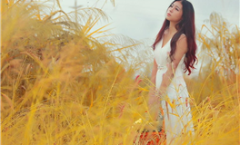 古籍里的风情万种，以水性杨花为例