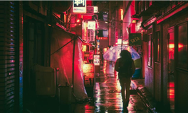 年底前，哪位动物星座将成为你的【幸运守护星】