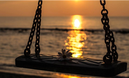 这些现在柔情外表下，展现出的是坚韧与机敏