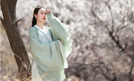 李云天生肖马2024年11月运势