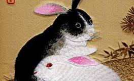 1951年属兔人2025年全年运势运程  51年属兔人2025年每月运势详解