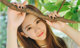 斯蒂芬：冥王星的最后一站