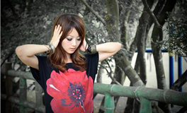 2024年12月1日射手座新月许愿指导说明