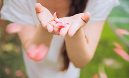 2025年，多利学习或文化方面的生肖