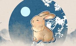 75年属兔何时走大运发大财 2025年发大财