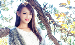 日运 2024年11月27号 星期三 农历十月廿七