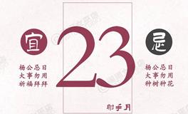 闹闹女巫店今日运势2024年11月23日