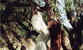 哪些生肖独具慧眼？探秘四大生肖如何以卓越直觉迈向成功