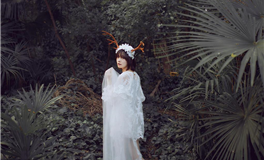 Alex大叔巨蟹座本周运势（11.11-11.17）