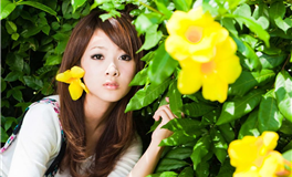 【本月财运】十二星座11月财运（2024年11月）