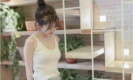 属兔的人2024年11月运势/农历十月/乙亥月(11.7-12.5)