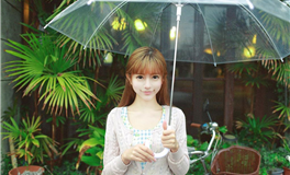 2025年，生肖属鸡的人2025年运势解析