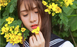 狂月今日星座运势2024年12月29日