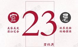 闹闹女巫店今日运势2024年12月23日