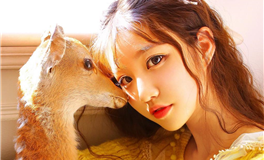 不爱了就不会回头的星座