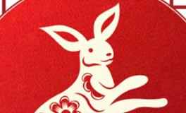 董易林生肖兔2025年1月运势