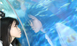 苏珊米勒一周星座运势（1.27-2.2）