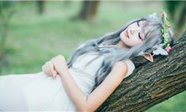 苏珊米勒2025年1月狮子座运势