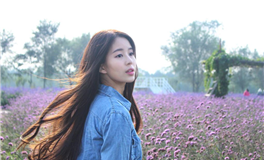 判答双子座2025年1月运势