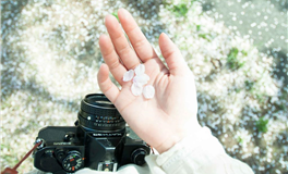 启航2025，运势非凡：掌握这些开运秘籍，让你全年元气满满！