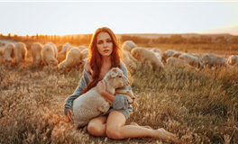 占星妖妖十二星座2025年1月份运势