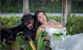 爱莎公主今日运势2025年2月26日