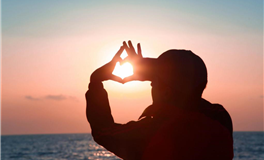 猫咪占星：十二星座2025年上半年运势解析