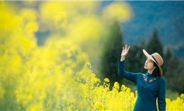 2025年2月28日双鱼座新月许愿说明